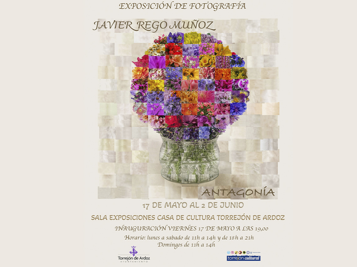 Exposiciones